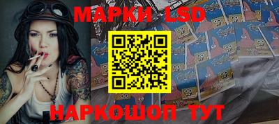 шишки Обь