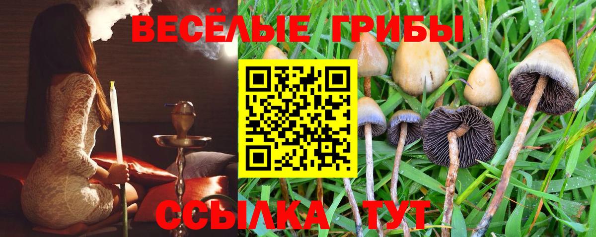 Галлюциногенные грибы Magic Shrooms Сертолово