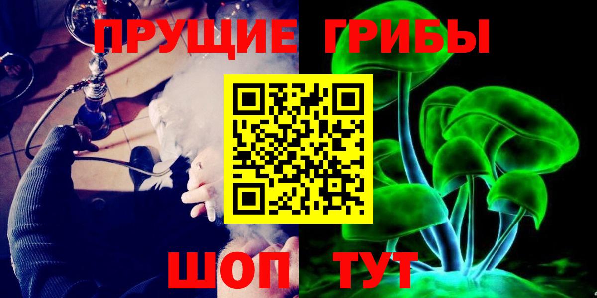 Псилоцибиновые грибы GOLDEN TEACHER  купить закладку  Сертолово  Вход с VPN  Галлюциногенные грибы MAGIC MUSHROOMS 